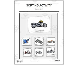 Sorting Activity: Transportation - Non-identical items LARGE Pictures