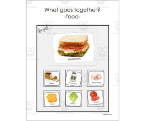 Sorting Activity: What goes Together - FOOD