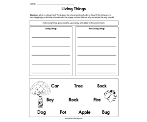 Sorting Characteristics Living Things Worksheet