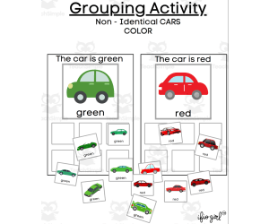 Sorting/Grouping Activity -NON-identical Cars By Color
