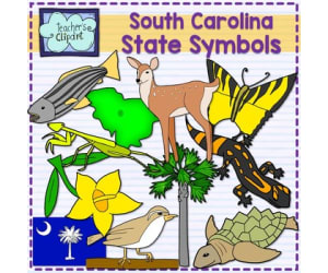 South Carolina State Symbols Clip Art