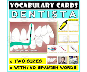 Spanish Language Vocabulary Flashcards 11