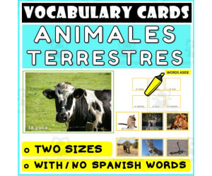 Spanish Language Vocabulary Flashcards 25
