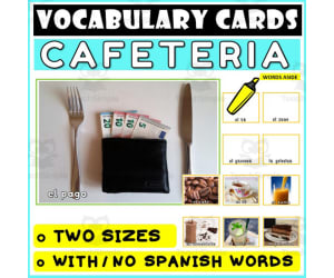 Spanish Language Vocabulary Flashcards 6