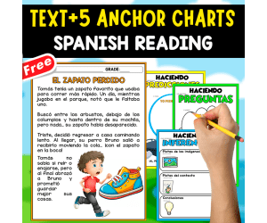 SPANISH READING TEXT + 5 ANCHOR CHARTS | El zapato perdido