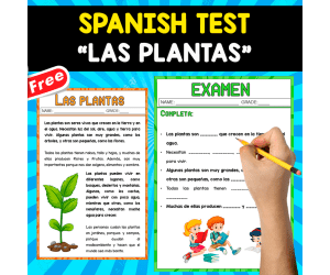 SPANISH TEST | LAS PLANTAS