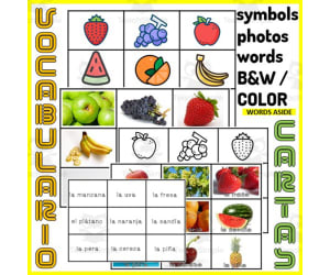 Spanish Vocabulary Match to Sample Memory Boards FRUITS