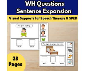 Speech Therapy WH Questions ,Visual Choices Sentence Expansion