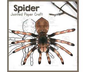Spider | Jointed Animal Craft | Articulated Craft
