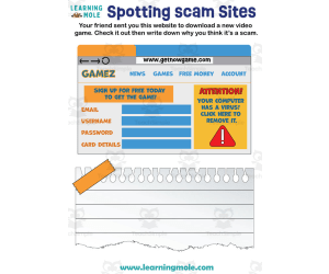 Spotting Scam Sites Activity