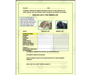 Spring Biology Activity: Rabbits