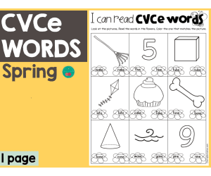 Spring CVCe Words