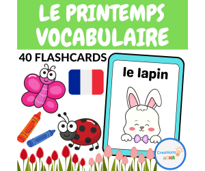 Spring Flashcards in French