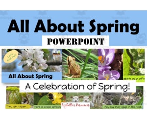 Spring PowerPoint; 44 Slides