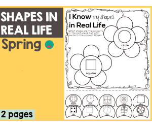 Spring Shapes in Real Life