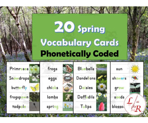 Spring Vocabulary Cards Phonetically Coded