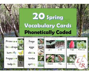 Spring Vocabulary Flashcards Phonetically Coded