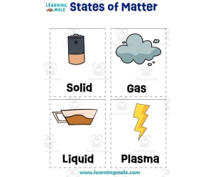 States of Matter Activity