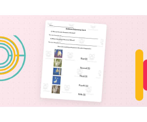 Stellaluna Sequencing Assessment