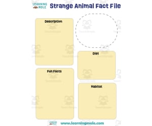 Strange Animals Activity