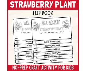 Strawberry Plant Flipbook Craft DIY Science Study Writing activity