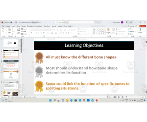 Structure of the Skeleton