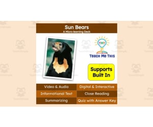 Sun Bears | Interactive Science Lesson | Micro-Learning Deck