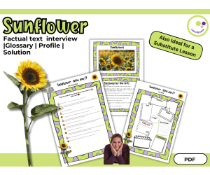 Sunflowers – Factual Interview Text, Glossary & Student Profile