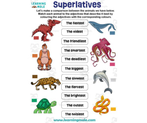 Superlatives Activity