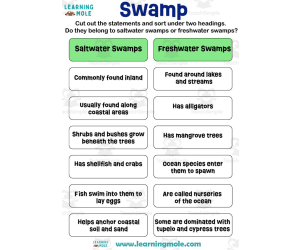 Swamp Activity