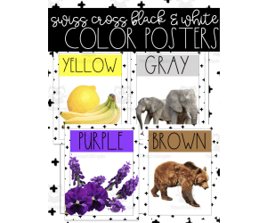 Swiss Cross Color Posters