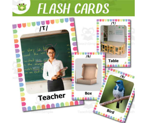 /T/ & /B/ Sound Words Vocabulary Flashcards with real photos