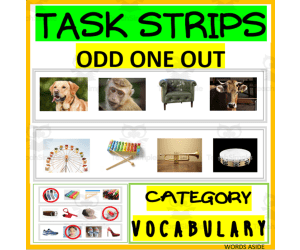 TASK STRIPS| ODD ONE OUT| VOCABULARY CATEGORIES REASONING CARDS
