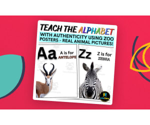 Teach the Alphabet with Authenticity Using Zoo Posters - Real Animal