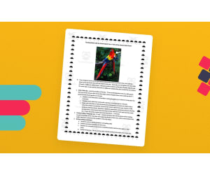 Teaching Math with the Great Kapok Tree: A Tale of the Amazon Rain Forest
