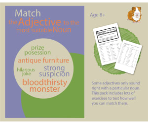 Test Yourself: Match The Adjective To The Most Suitable Noun (EFL Work Pack) 8+