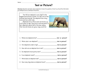 Text or Pictures Worksheet