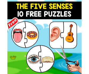 THE 5 SENSES | 10 FREE PUZZLES
