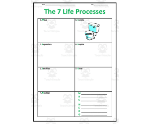 The 7 Life Processes Worksheet Set