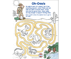 The Amazing Earth Mazes: Volume 4 Activity Book
