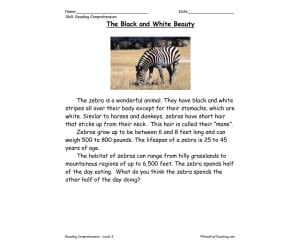The Black and White Beauty Reading Comprehension Worksheet