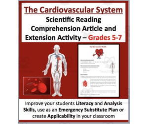 The Cardiovascular System Reading Comprehension Article
