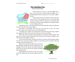 The Catching Tree Reading Comprehension Worksheet