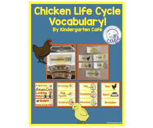 The Chicken Life Cycle - Vocabulary Cards