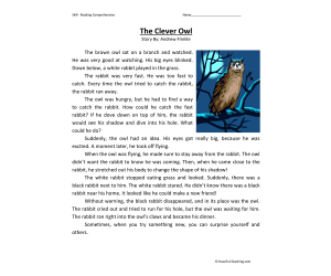 The Clever Owl Reading Comprehension Worksheet