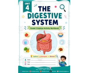 The Digestive System & Balanced Diet | Printable Workbook.