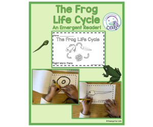 The Frog Life Cycle Book | Emergent Reader