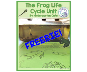 The Frog Life Cycle Unit - Tadpole Cut and Paste