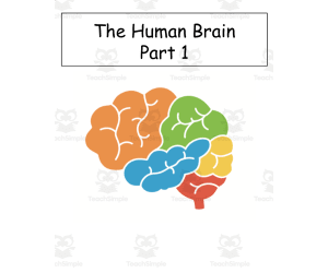 The Human Brain-Includes Kahoot, Smart Cookie Game and a Hands-On Activity About the Brain