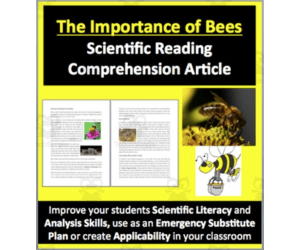 The Importance of Bees Reading Comprehension Article